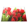 Skleněné prkénko květy červené tulipány