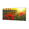 Ochranný skleněný panel