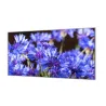 Panel za kuchyňskou linku - bez vodoznaku