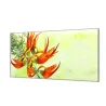 Ochranný skleněný panel