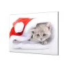 Skleněná kuchyňská deska